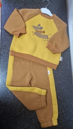 WW452 Спортивный костюм на флисе