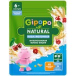 Каша молочная Gipopo Natural Мультизлаковая Яблоко Вишня