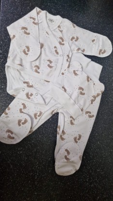 Набор с боди 3 в 1 Дана 62 р