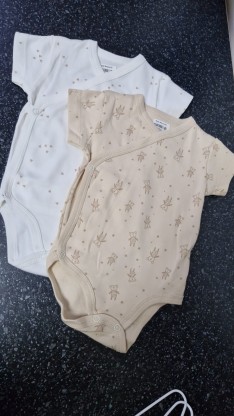 Боди  Мишка 62